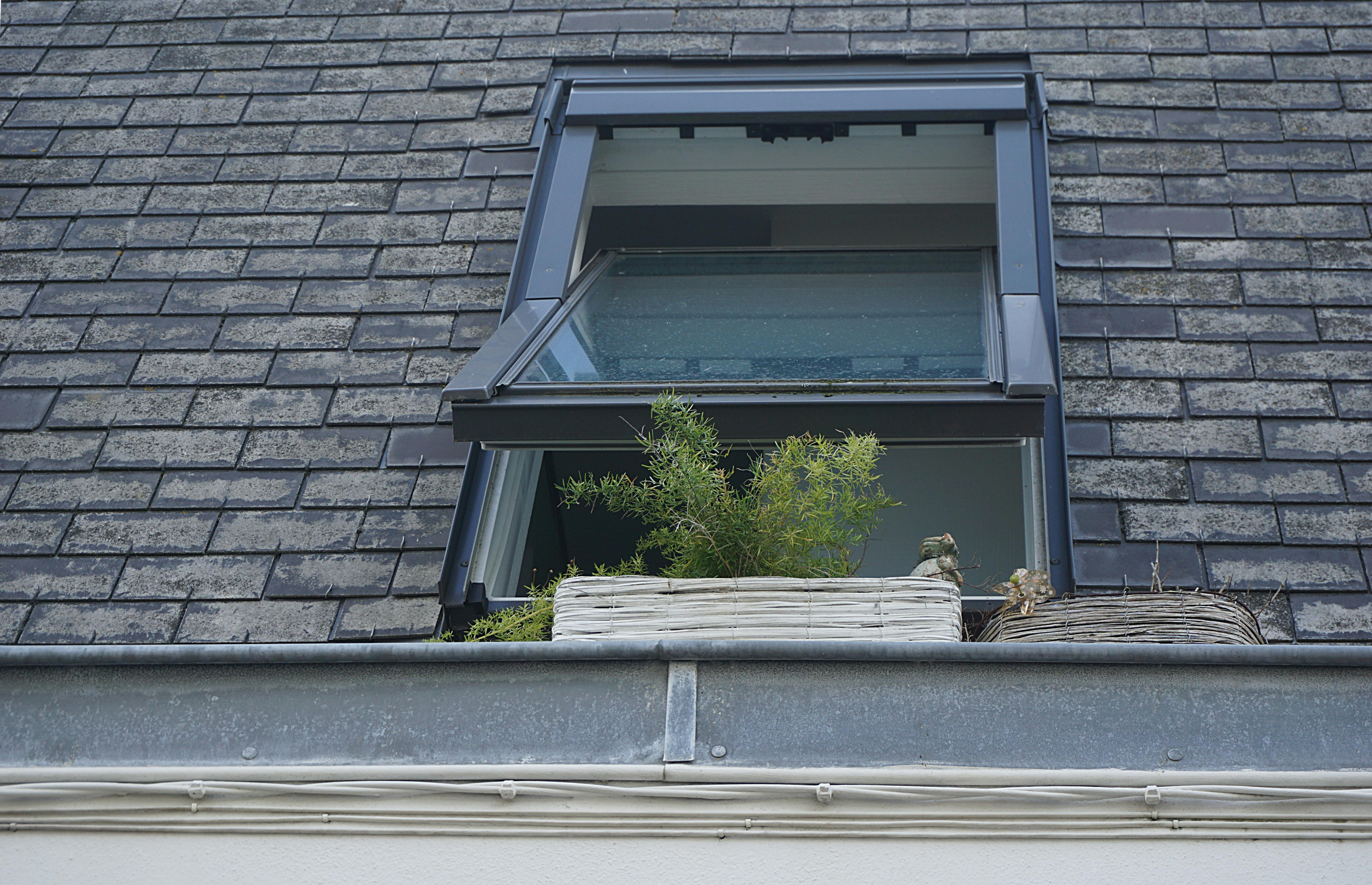 Clearing and checking a shared terrace gutter in Bristol