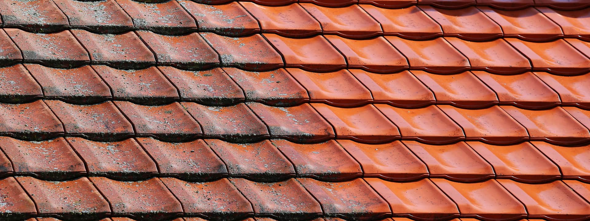 Moss and algae roof cleaning Bristol