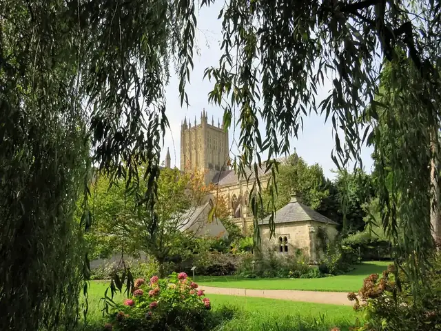 Wells Cathedral's tower seen through willow branches from the Bishop's Palace gardens
